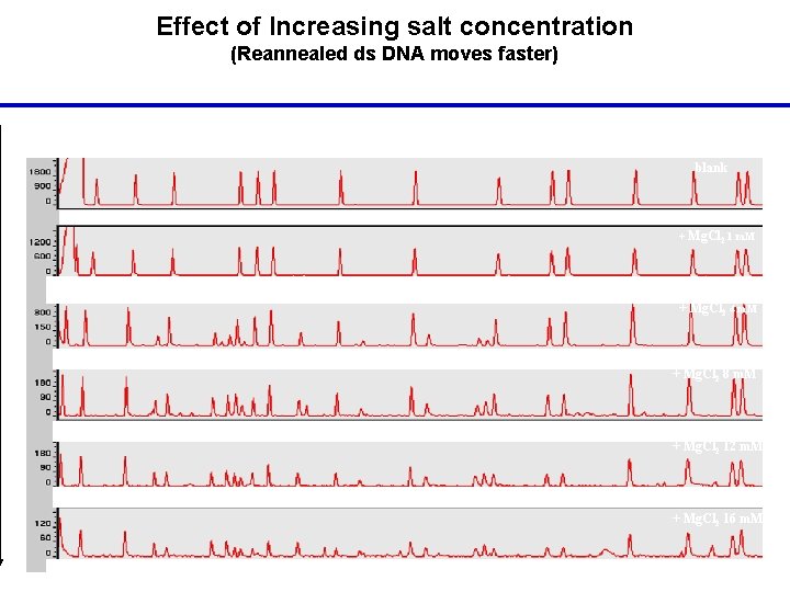 Effect of Increasing salt concentration (Reannealed ds DNA moves faster) blank + Mg. Cl