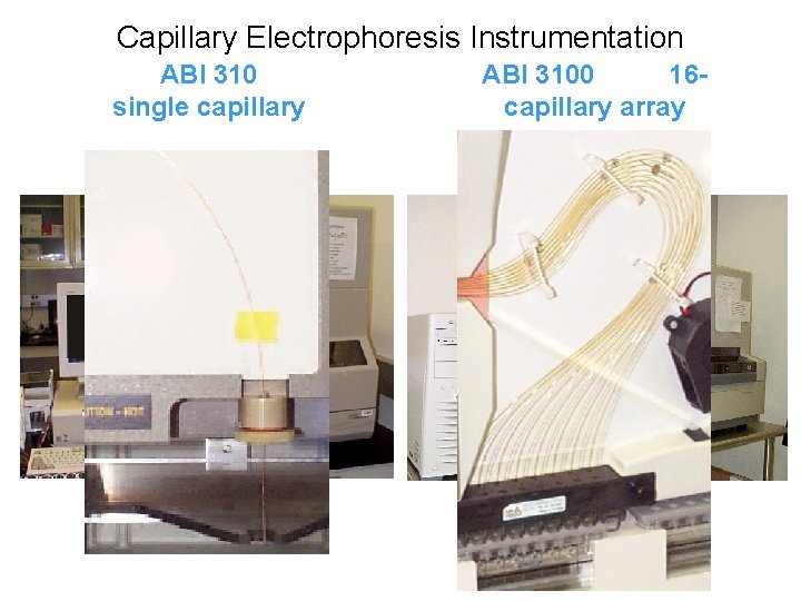 Capillary Electrophoresis Instrumentation ABI 310 single capillary ABI 3100 16 capillary array 