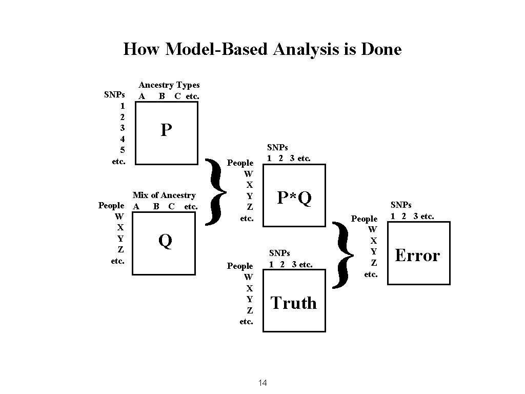 How Model-Based Analysis is Done SNPs 1 2 3 4 5 etc. Ancestry Types