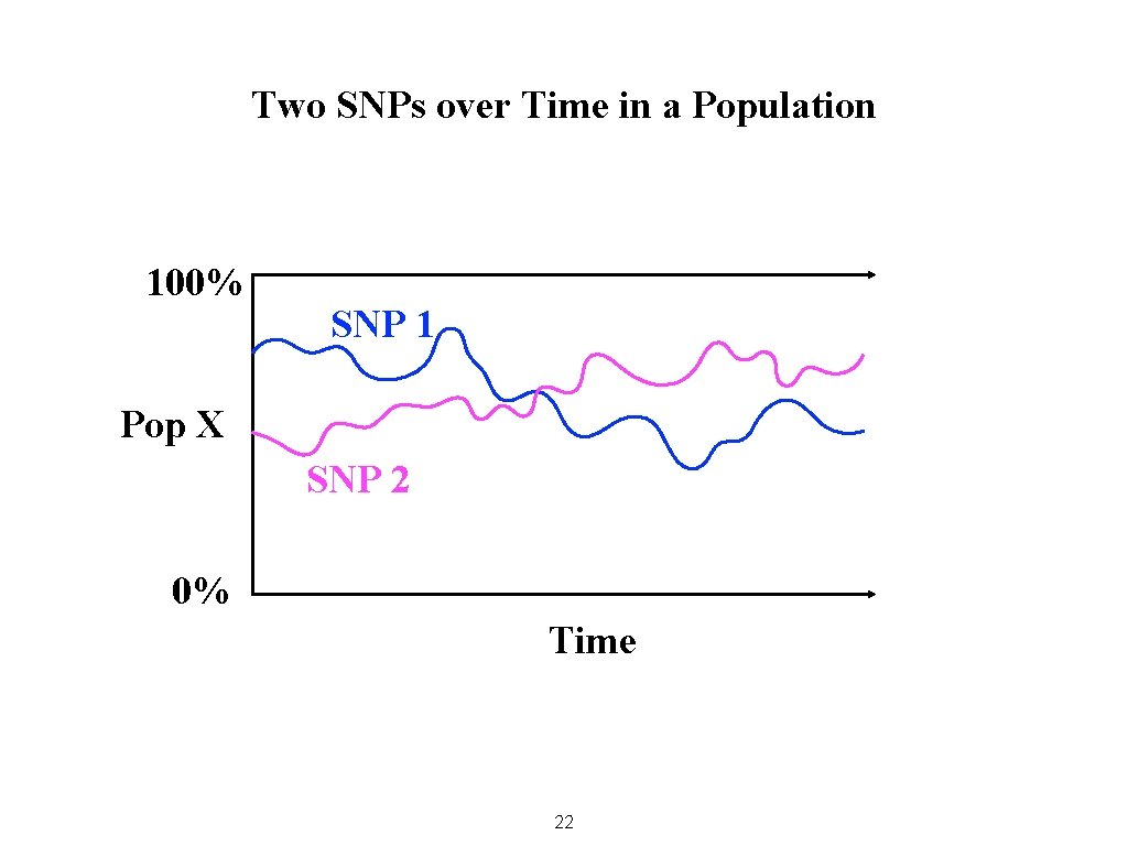 Two SNPs over Time in a Population 100% SNP 1 Pop X SNP 2