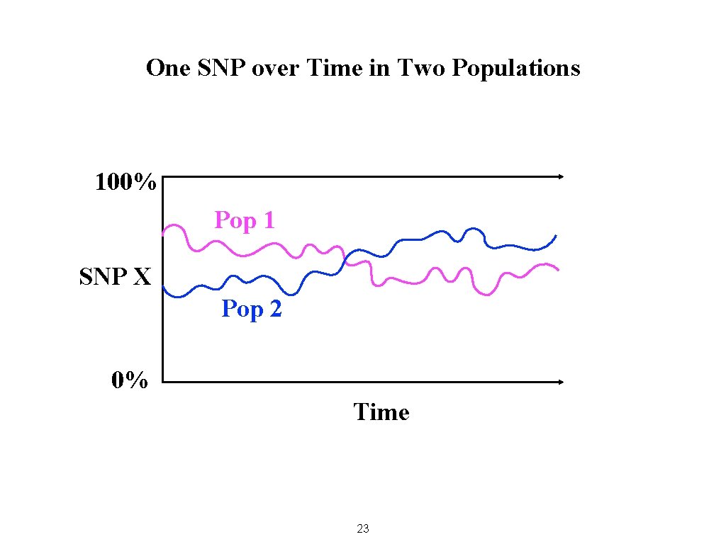 One SNP over Time in Two Populations 100% Pop 1 SNP X Pop 2