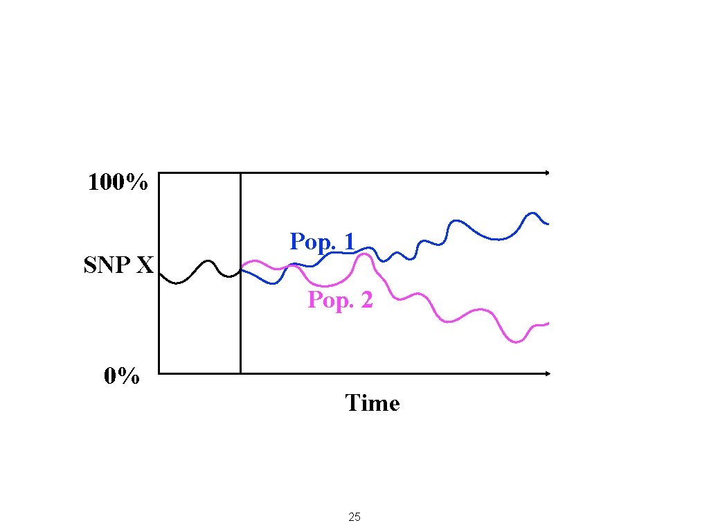 100% SNP X Pop. 1 Pop. 2 0% Time 25 