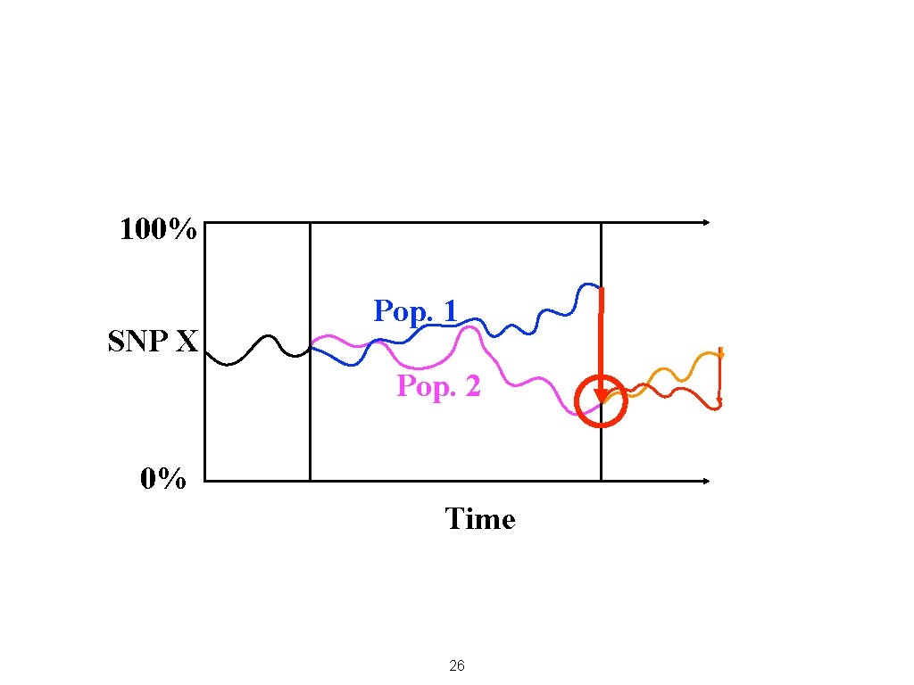 100% SNP X Pop. 1 Pop. 2 0% Time 26 