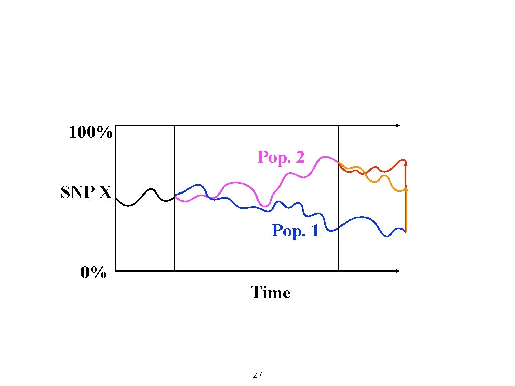 100% Pop. 2 SNP X Pop. 1 0% Time 27 