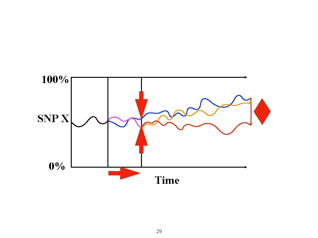 100% SNP X 0% Time 29 