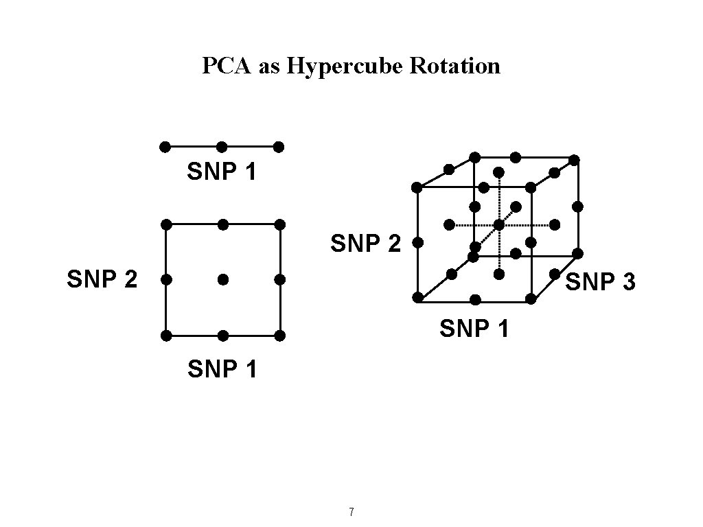 PCA as Hypercube Rotation SNP 1 SNP 2 SNP 3 SNP 1 7 