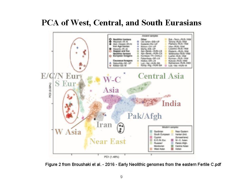 PCA of West, Central, and South Eurasians E/C/N Eur S Eur W Asia W-C