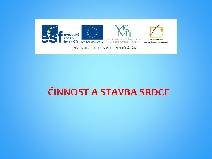 ČINNOST A STAVBA SRDCE 