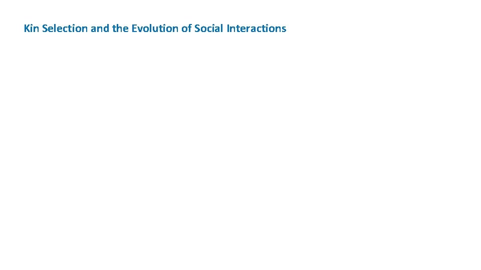 Kin Selection and the Evolution of Social Interactions 