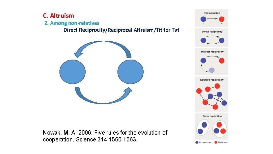 C. Altruism 2. Among non-relatives Direct Reciprocity/Reciprocal Altruism/Tit for Tat Nowak, M. A. 2006.