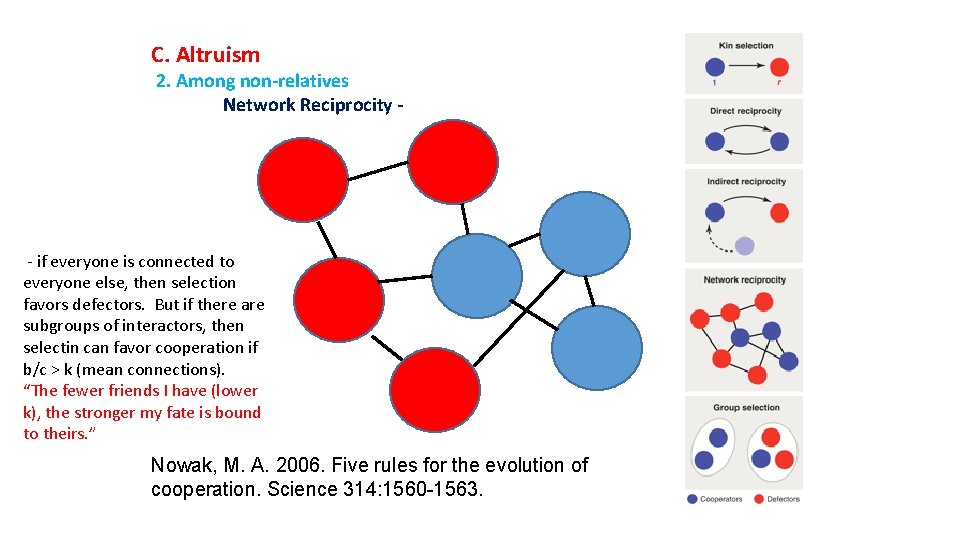 C. Altruism 2. Among non-relatives Network Reciprocity - - if everyone is connected to