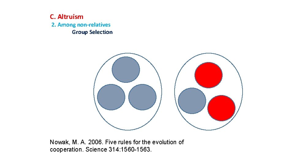 C. Altruism 2. Among non-relatives Group Selection Nowak, M. A. 2006. Five rules for