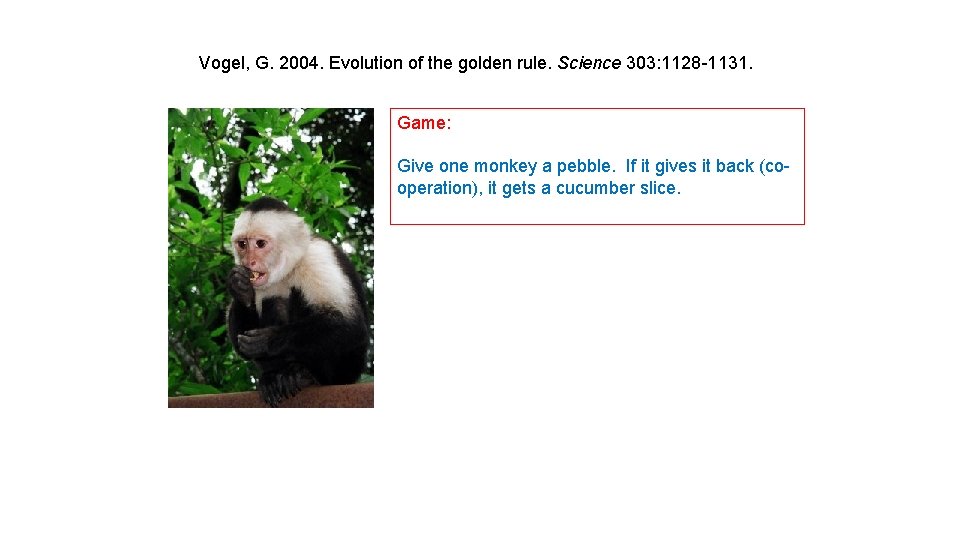 Vogel, G. 2004. Evolution of the golden rule. Science 303: 1128 -1131. Game: Give