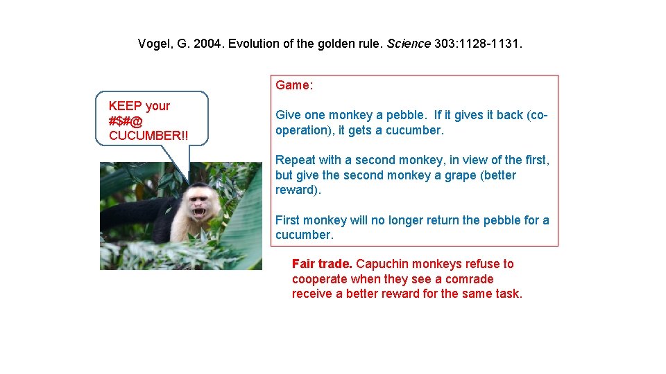 Vogel, G. 2004. Evolution of the golden rule. Science 303: 1128 -1131. Game: KEEP