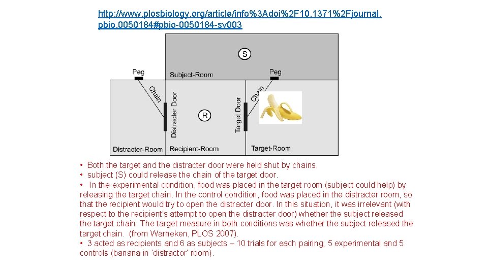 http: //www. plosbiology. org/article/info%3 Adoi%2 F 10. 1371%2 Fjournal. pbio. 0050184#pbio-0050184 -sv 003 •