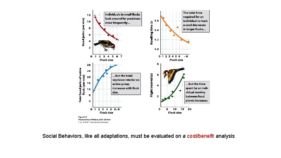 Social Behaviors, like all adaptations, must be evaluated on a cost/benefit analysis 