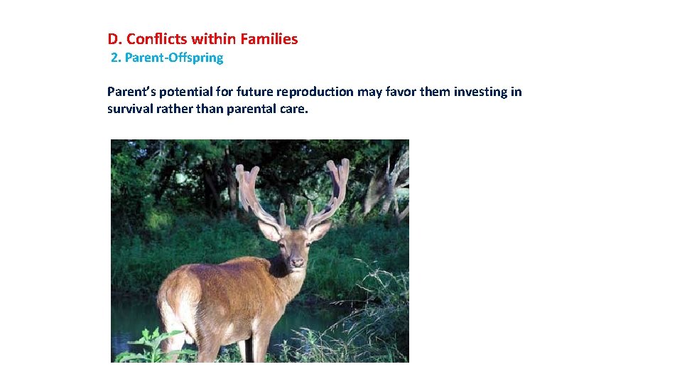 D. Conflicts within Families 2. Parent-Offspring Parent’s potential for future reproduction may favor them