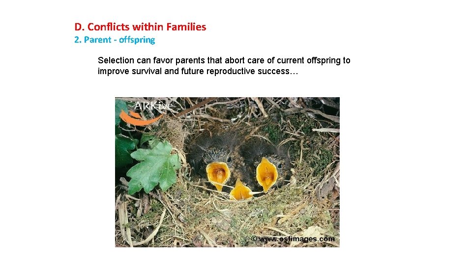 D. Conflicts within Families 2. Parent - offspring Selection can favor parents that abort