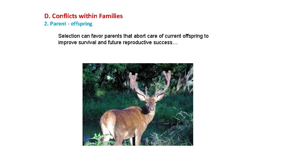 D. Conflicts within Families 2. Parent - offspring Selection can favor parents that abort