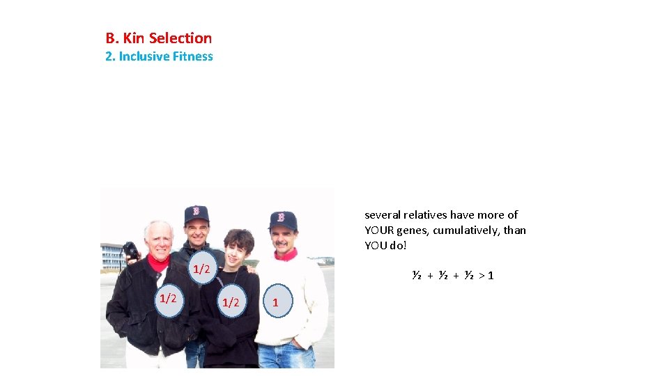 B. Kin Selection 2. Inclusive Fitness several relatives have more of YOUR genes, cumulatively,