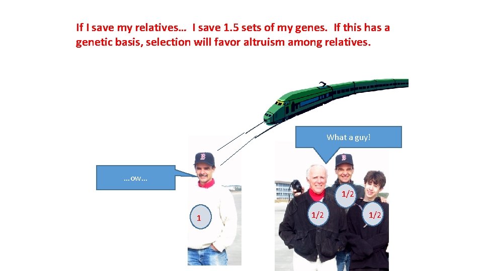 If I save my relatives… I save 1. 5 sets of my genes. If