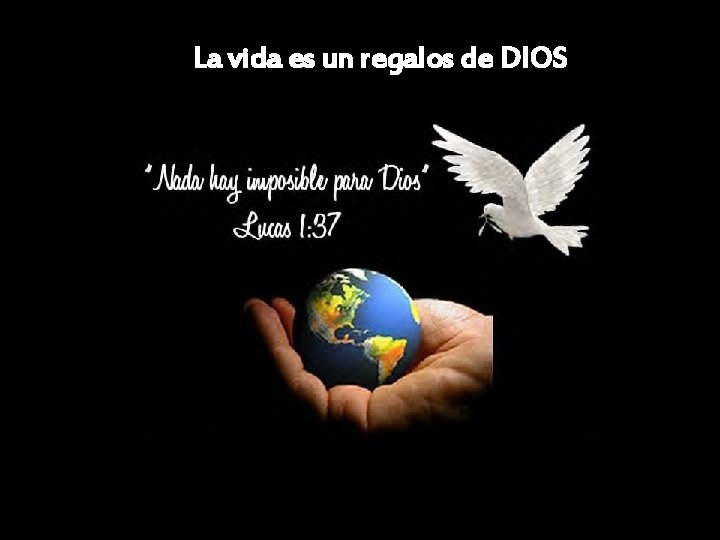 La vida es un regalos de DIOS La vida es un regalos de DIOS