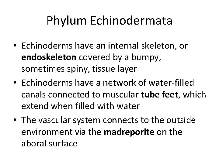 Phylum Echinodermata • Echinoderms have an internal skeleton, or endoskeleton covered by a bumpy,