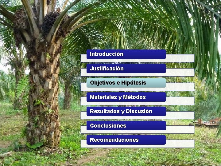 Introducción Justificación Objetivos e Hipótesis Materiales y Métodos Resultados y Discusión Conclusiones Recomendaciones 