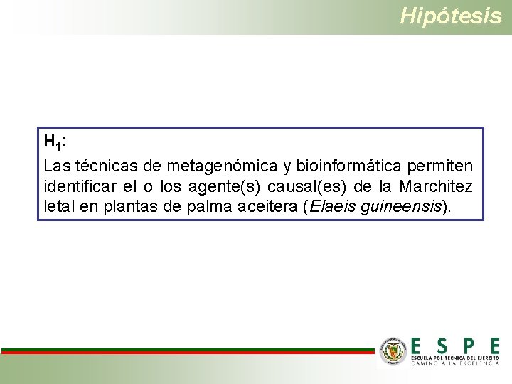 Hipótesis H 1: Las técnicas de metagenómica y bioinformática permiten identificar el o los