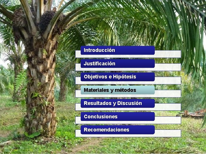 Introducción Justificación Objetivos e Hipótesis Materiales y métodos Resultados y Discusión Conclusiones Recomendaciones 