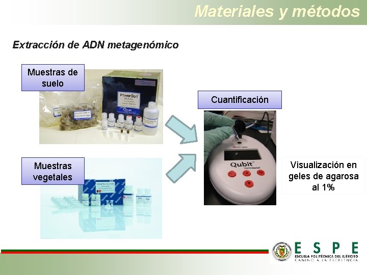 Materiales y métodos Extracción de ADN metagenómico Muestras de suelo Cuantificación Muestras vegetales Visualización
