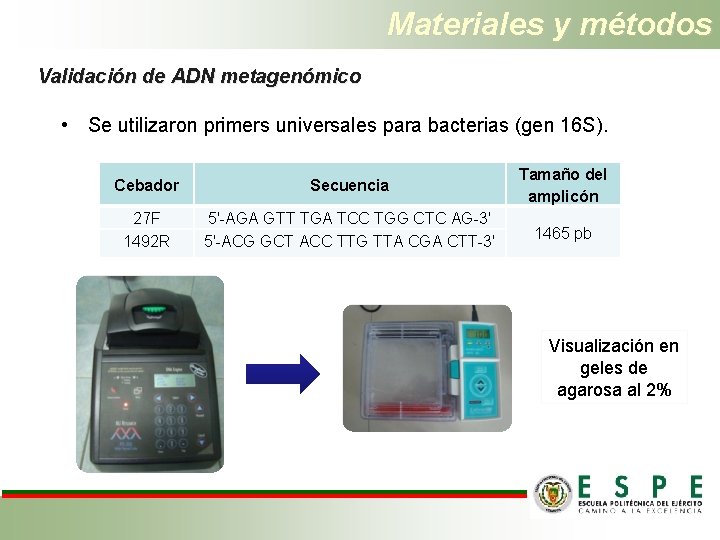 Materiales y métodos Validación de ADN metagenómico • Se utilizaron primers universales para bacterias