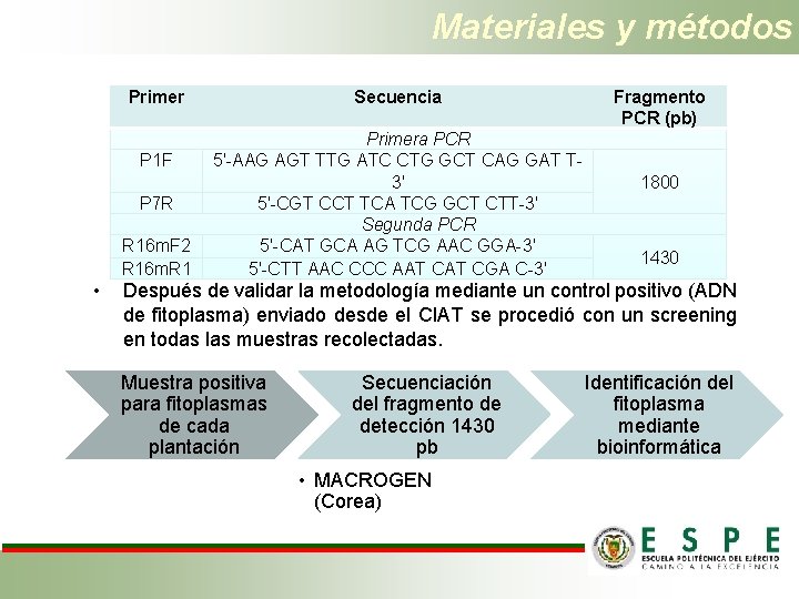 Materiales y métodos Primer P 1 F P 7 R R 16 m. F