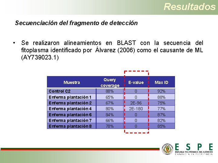 Resultados Secuenciación del fragmento de detección • Se realizaron alineamientos en BLAST con la