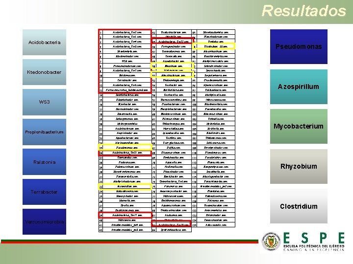 Resultados Acidobacteria Ktedonobacter WS 3 Propionibacterium Ralstonia Terrabacter Verrucomicrobia 1 Acidobacteria_Gp 2 spp. 43