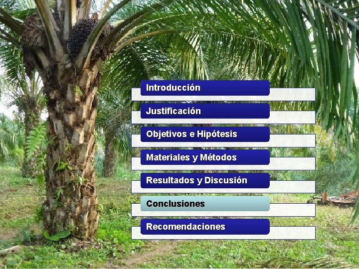 Introducción Justificación Objetivos e Hipótesis Materiales y Métodos Resultados y Discusión Conclusiones Recomendaciones 