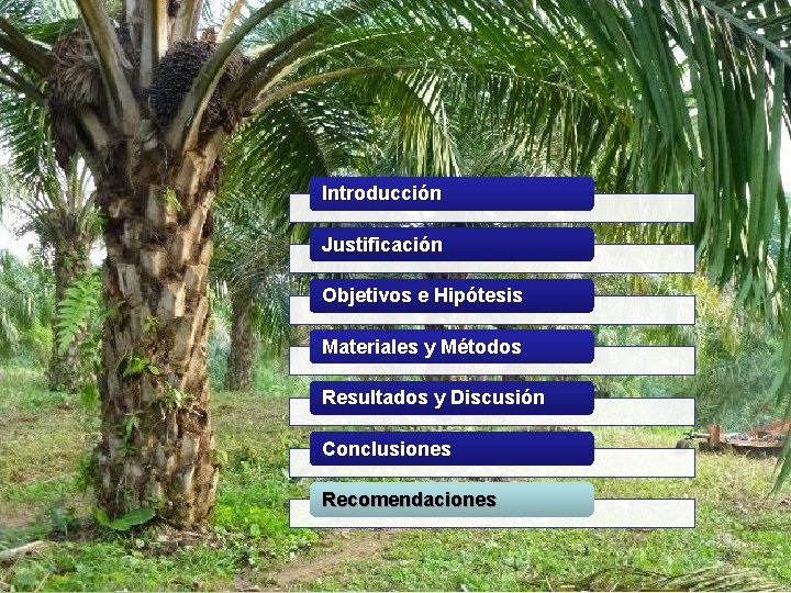 Introducción Justificación Objetivos e Hipótesis Materiales y Métodos Resultados y Discusión Conclusiones Recomendaciones 