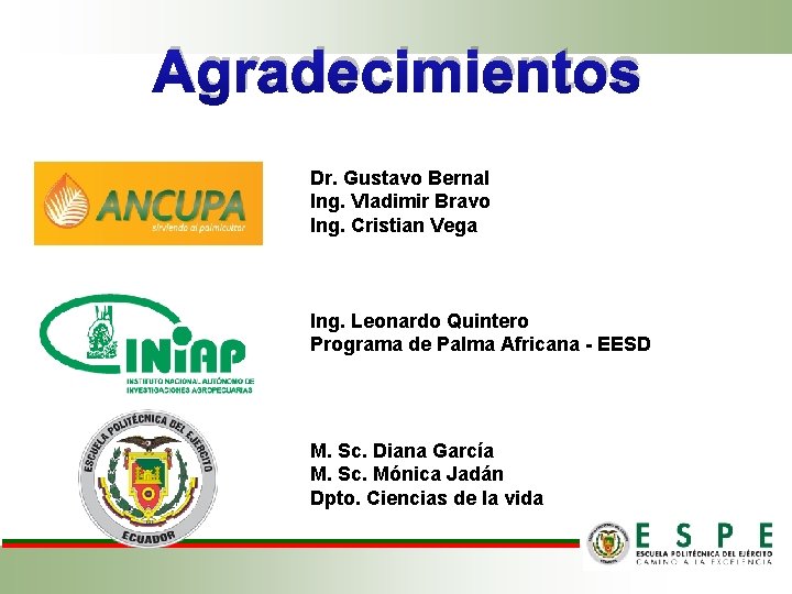 Agradecimientos Dr. Gustavo Bernal Ing. Vladimir Bravo Ing. Cristian Vega Ing. Leonardo Quintero Programa