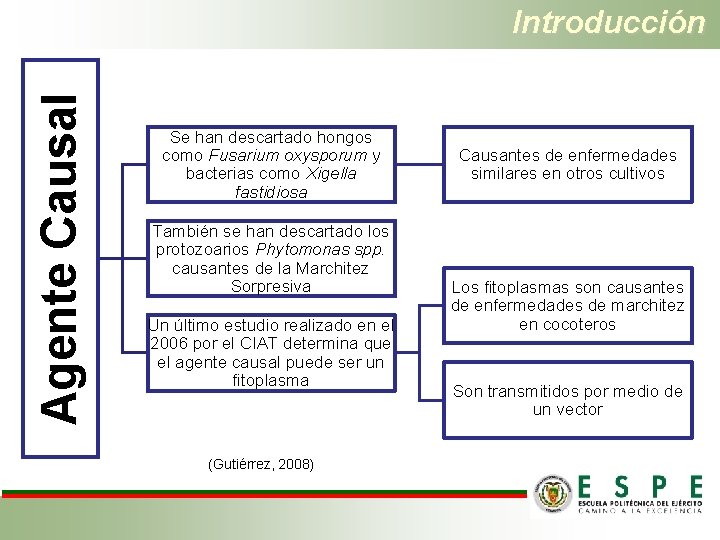 Agente Causal Introducción Se han descartado hongos como Fusarium oxysporum y bacterias como Xigella