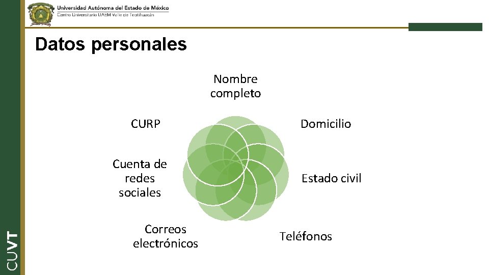 Datos personales Nombre completo CURP Cuenta de redes sociales Correos electrónicos Domicilio Estado civil