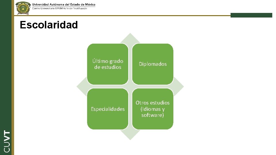 Escolaridad Último grado de estudios Diplomados Especialidades Otros estudios (Idiomas y software) 