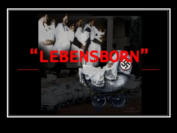 “LEBENSBORN” 