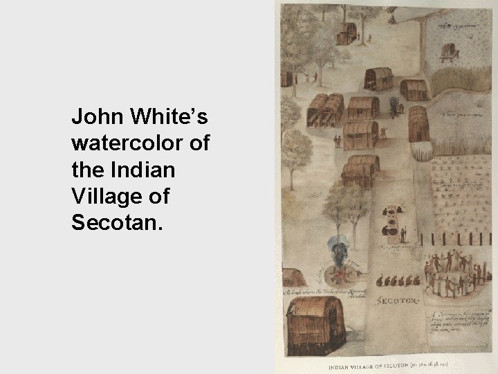 John White’s watercolor of the Indian Village of Secotan. . 