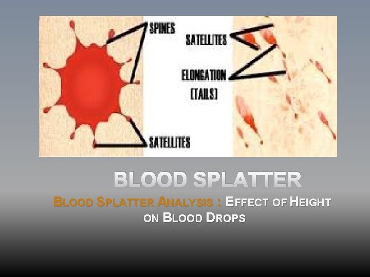 BLOOD SPLATTER ANALYSIS : EFFECT OF HEIGHT ON BLOOD DROPS 