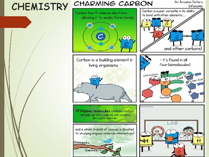 CHEMISTRY 