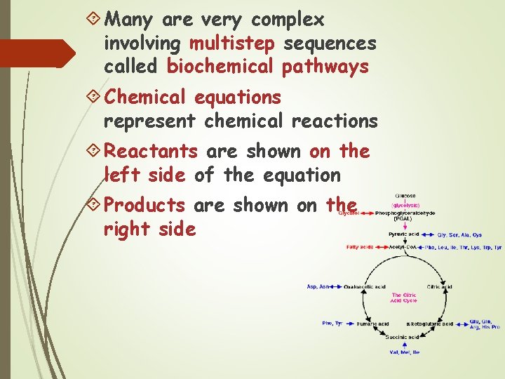  Many are very complex involving multistep sequences called biochemical pathways Chemical equations represent