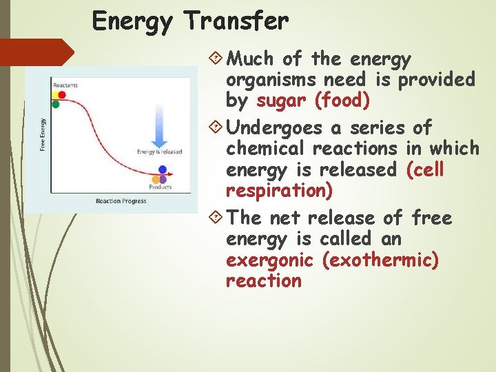 Energy Transfer Much of the energy organisms need is provided by sugar (food) Undergoes