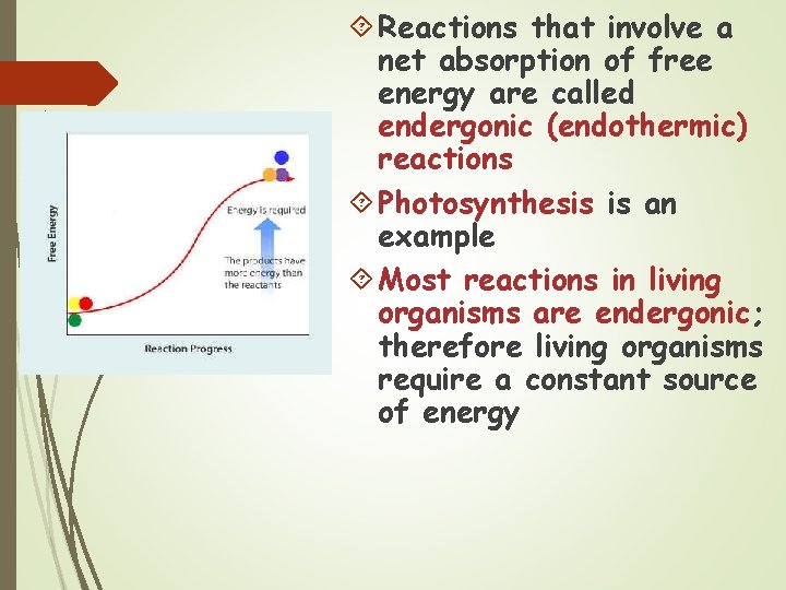  Reactions that involve a net absorption of free energy are called endergonic (endothermic)