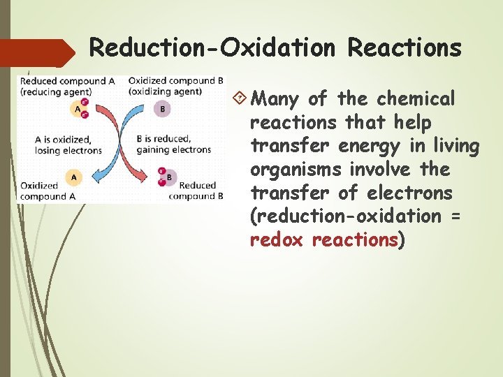 Reduction-Oxidation Reactions Many of the chemical reactions that help transfer energy in living organisms