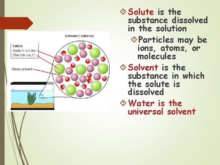  Solute is the substance dissolved in the solution Particles may be ions, atoms,